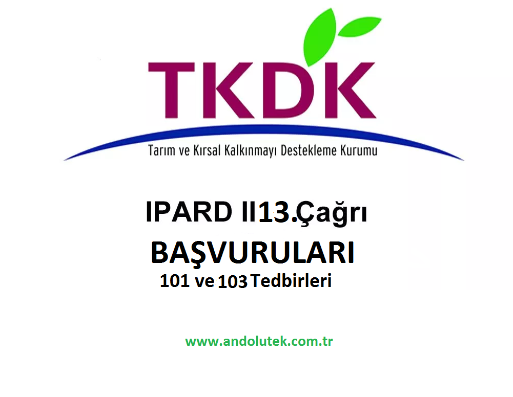 TKDK 13. ARI LANI